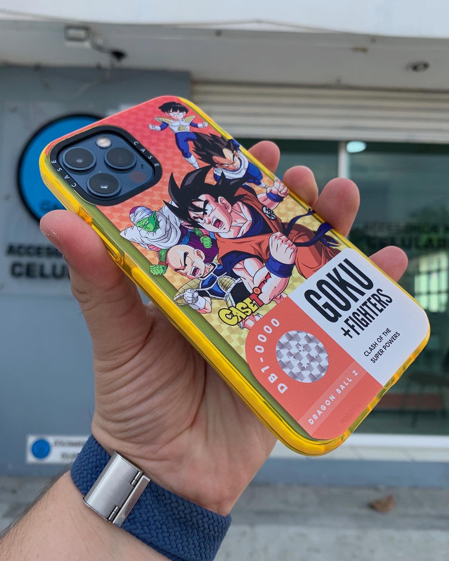 Case Dragon Ball