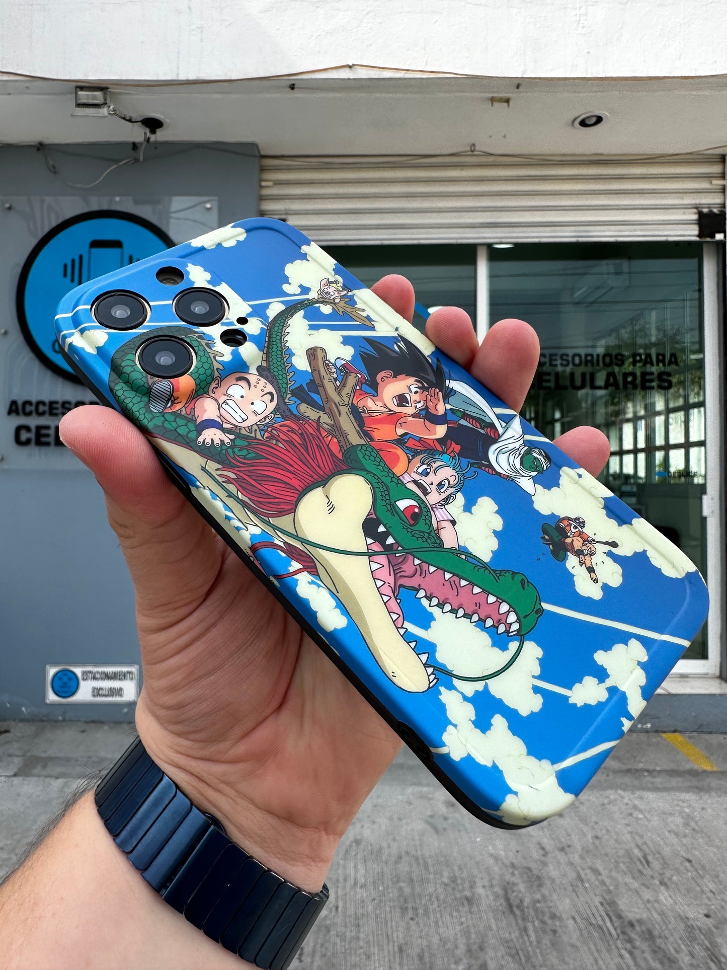 Case Dragon Ball