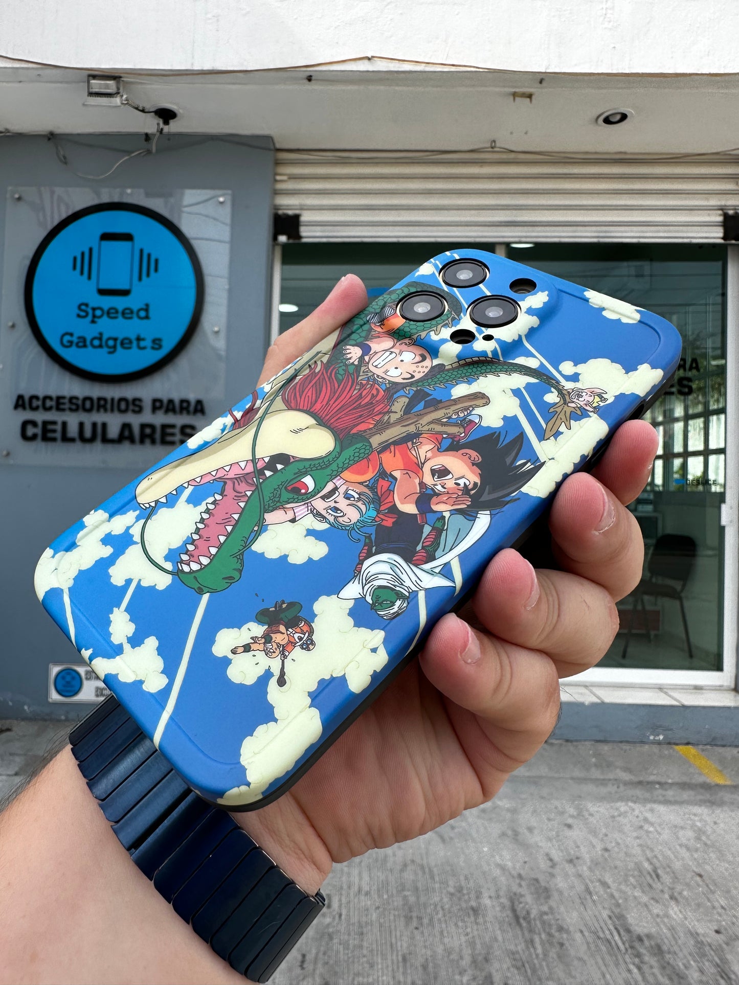 Case Dragon Ball