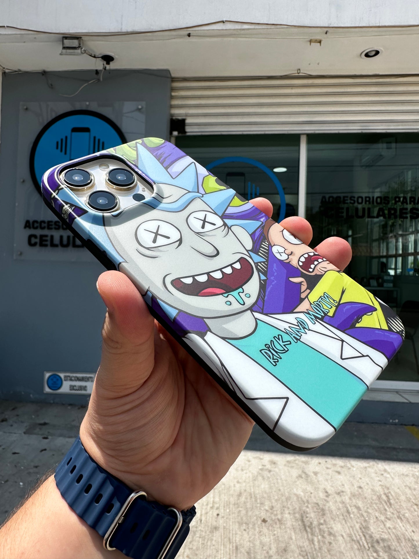 Case Rick & Morty