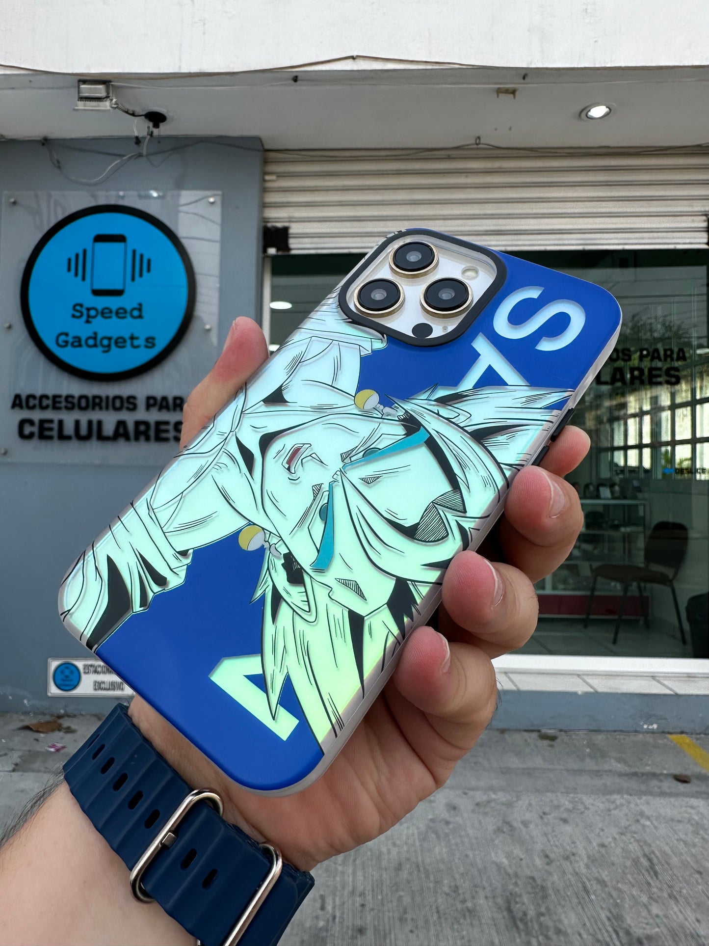 Case Dragon Ball Holografica