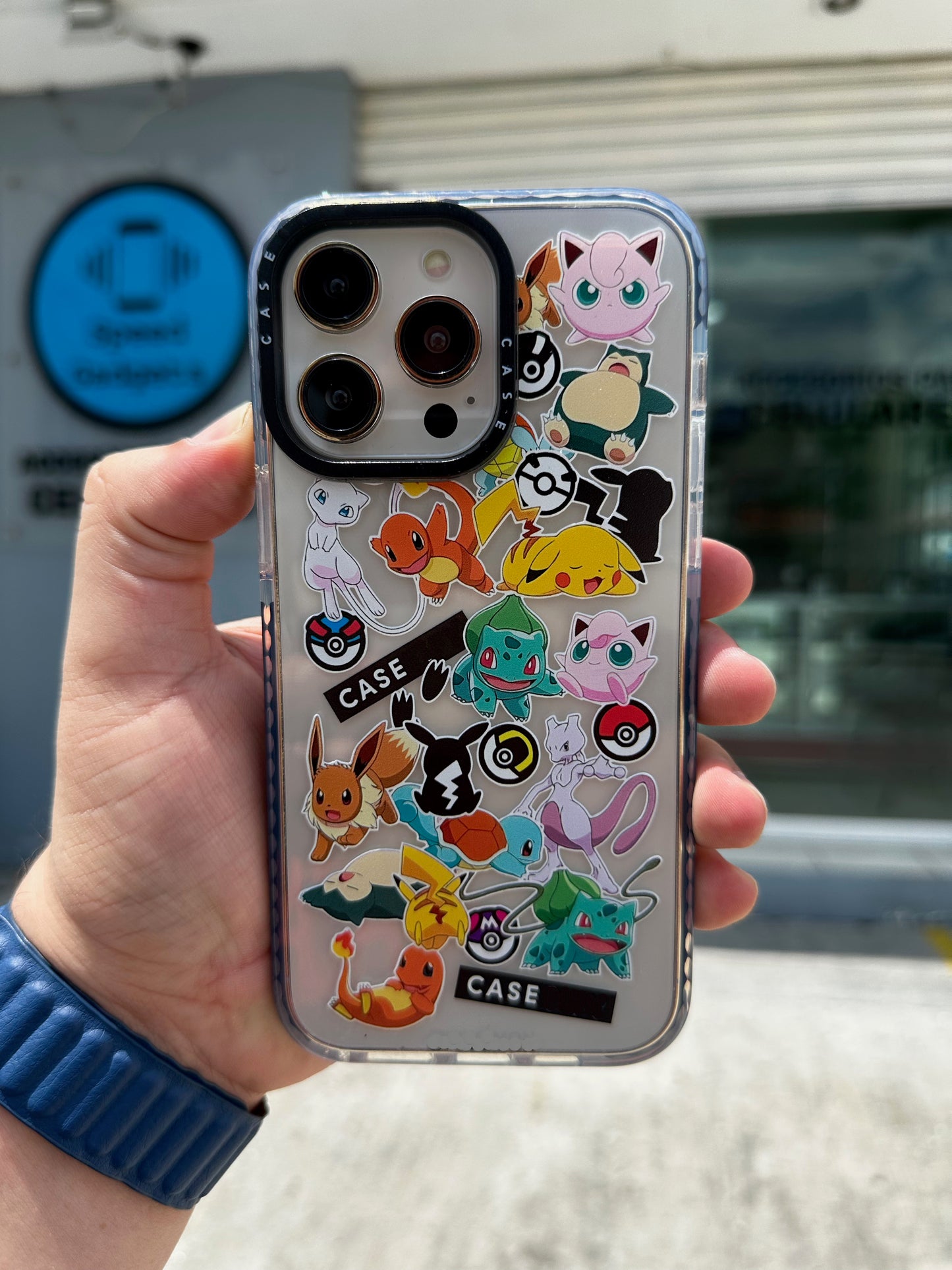 Case Pokemon