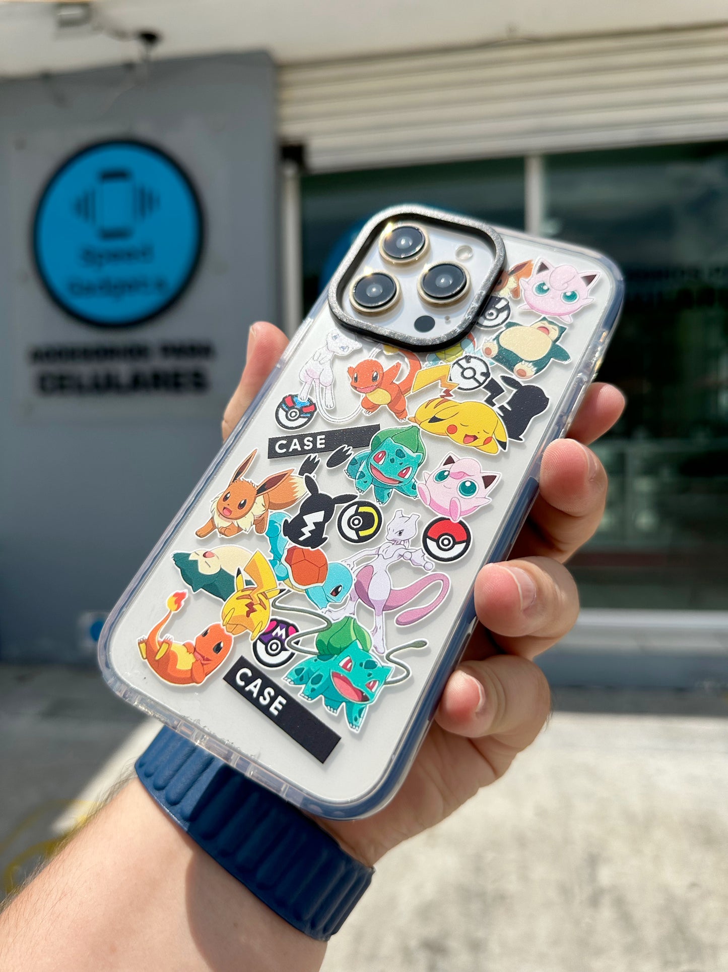 Case Pokemon